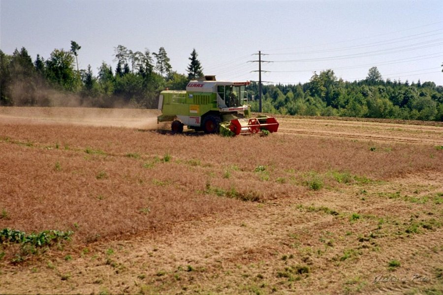 Claas Drescher 07